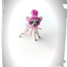 Микро чихуахуа в шапочке