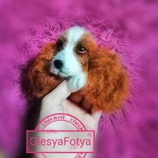 Брошь кавалер кинг чарльз спаниель