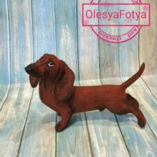 Готов мой рыжий таксёныш