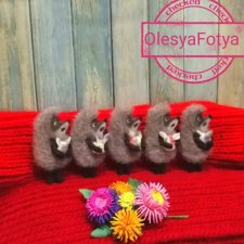 Ёжики в тумане