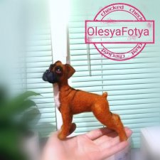 Боксер в процессе