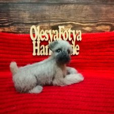 Брюссельский гриффон