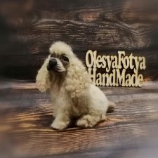 Американский кокер спаниель