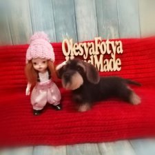 Мини таксочка