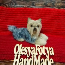 Йоркширский терьер