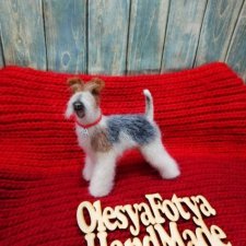 Мой второй фокстерьер