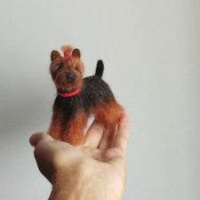 Мини йорик и двортерьер