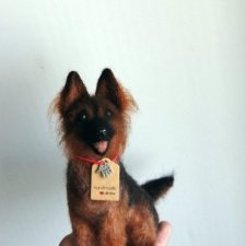 Щенок овчарки