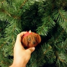 Ёлочный шар