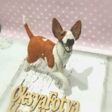 Бультерьер