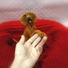 Венгерская выжла