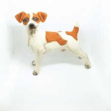 Джек рассел терьер