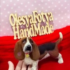 Бассет хаунд