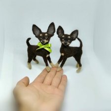 Мои мини собачки