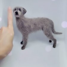 Мой первый ирландский волкодав