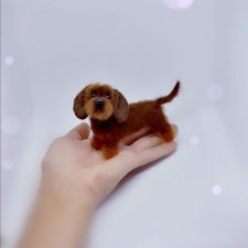 Жесткошерстная такса