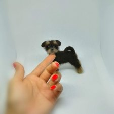 Мой самый маленький гриффончик