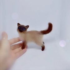Миниатюрная сиамская кошечка