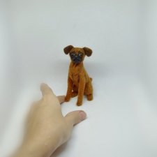 Мой первый пти брабансон