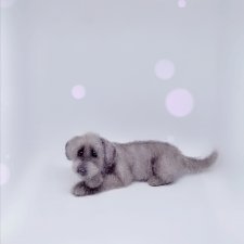 Грустный пёсик