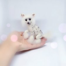 Китайская хохлатая собачка