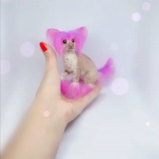 Китайская хохлатая собачка