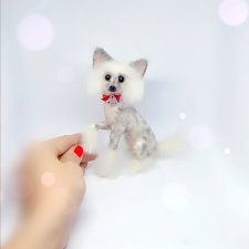 Китайская хохлатая собака