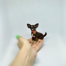 Мини чихуахуа