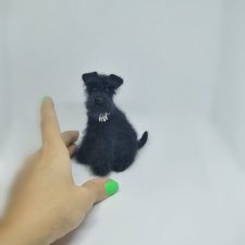 Черный цвергшнауцер