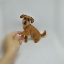 Пёс дворянских кровей