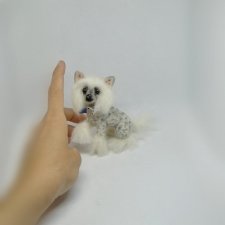 Китайская хохлатая собачка