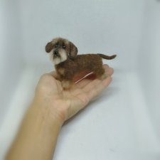 Жесткошерстная такса