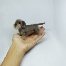 Жесткошерстная такса