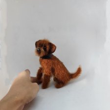 Двортерьер