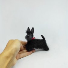 Скотч терьер