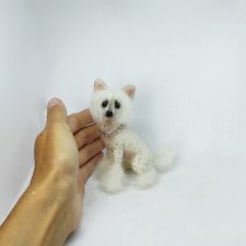 Китайская хохлатая собачка