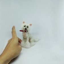 Китайская хохлатая собачка