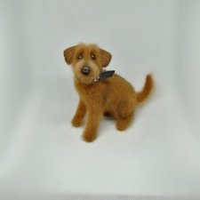 Рыжий двортерьер