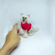 Китайская хохлатая собачка