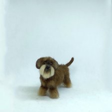 Такса жесткошерстная