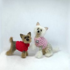 Китайская хохлатая собачка и йорик