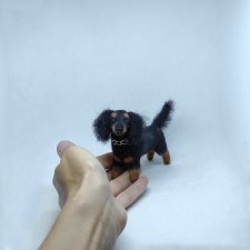 Такса длинношерстная