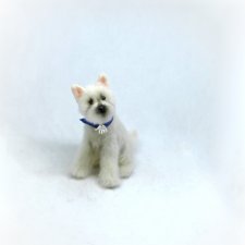 Вест-хайленд-уайт терьер