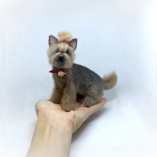 Йоркширский терьер