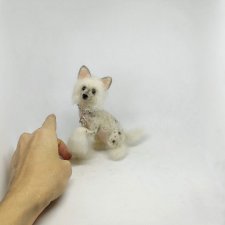 Китайская хохлатая собачка