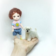 Щенок мальтезе