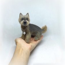 Йоркширский терьер