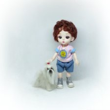 Мини мальтезе