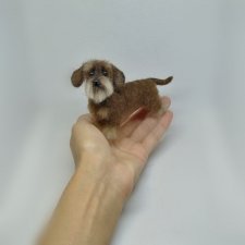 Такса жесткошерстная