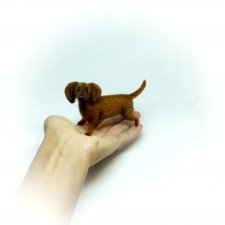 Рыжая такса